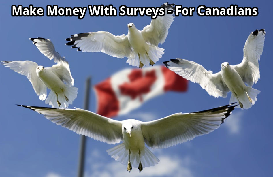 make money with surveys in Canada