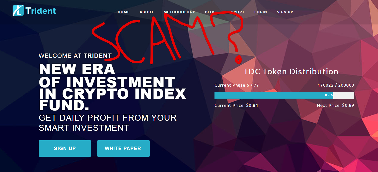 Trident Crypto Fund Scam