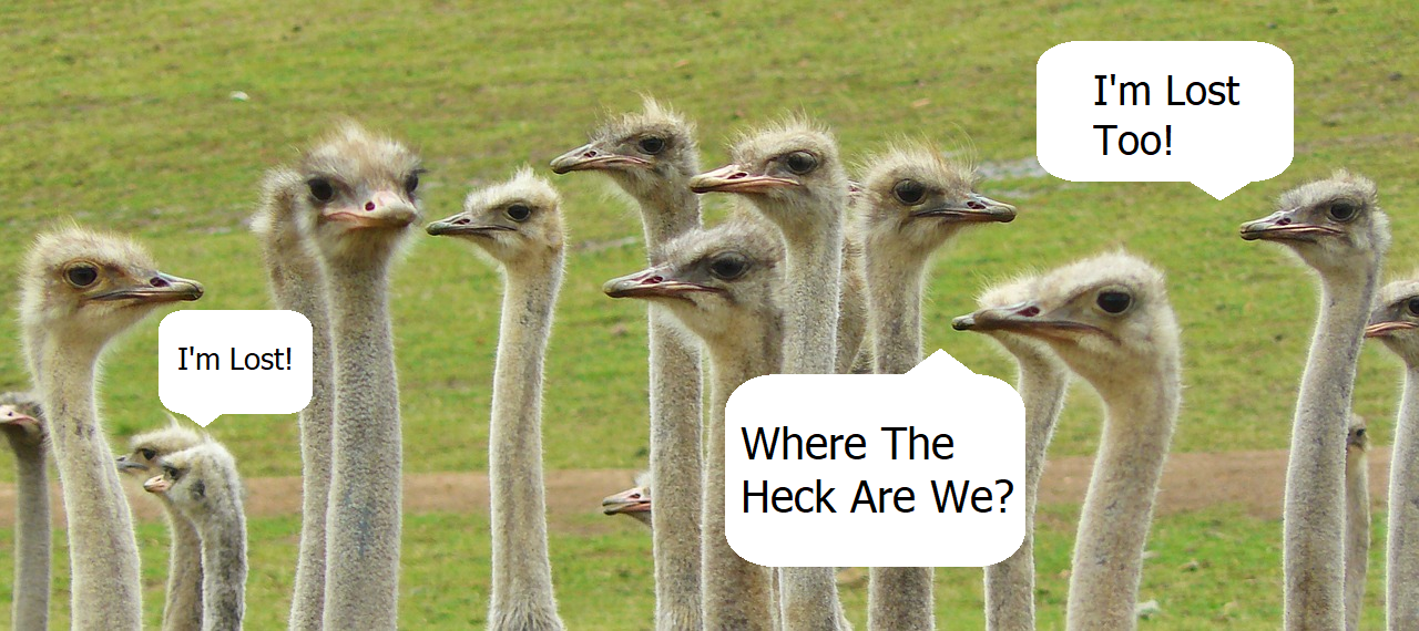 ostriches